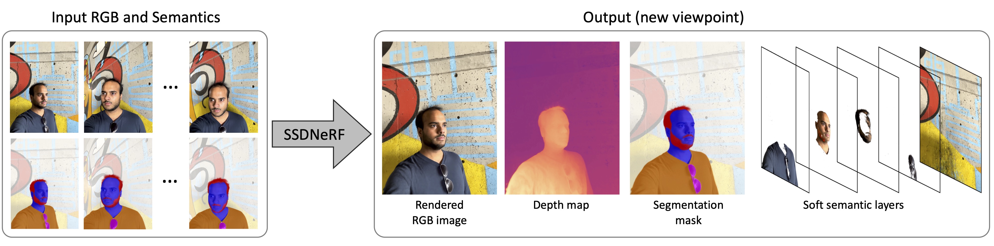 SSDNeRF: Semantic Soft Decomposition of Neural Radiance Fields